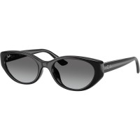 RAY BAN RB4457D 6677/11